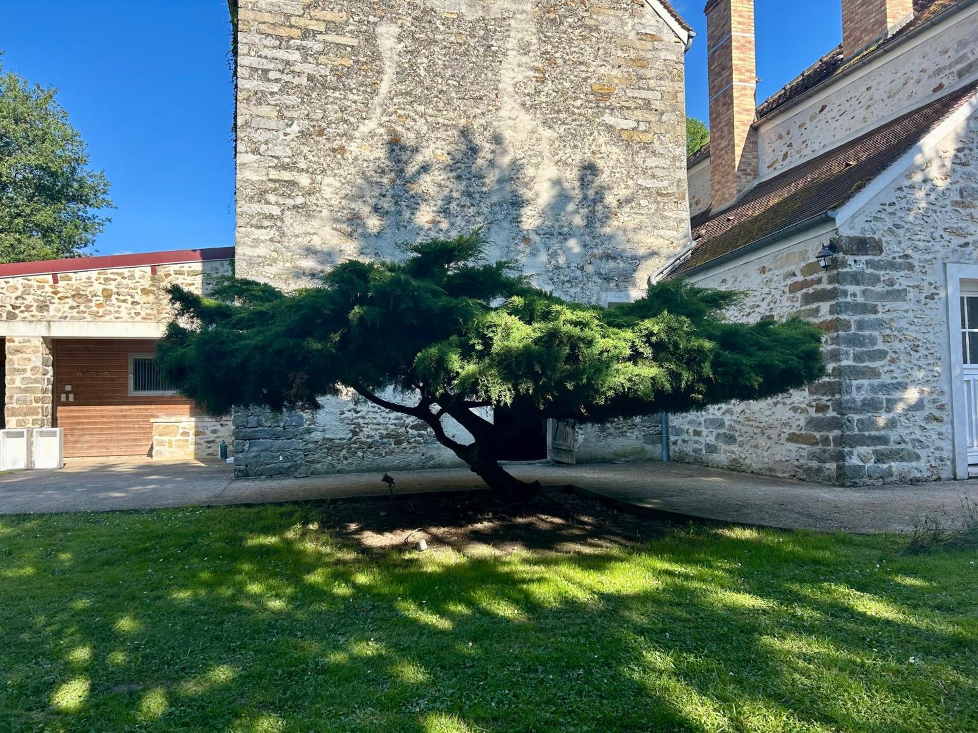 Apartamento Le Domaine De Brie Chatillon-la-Borde Exterior foto